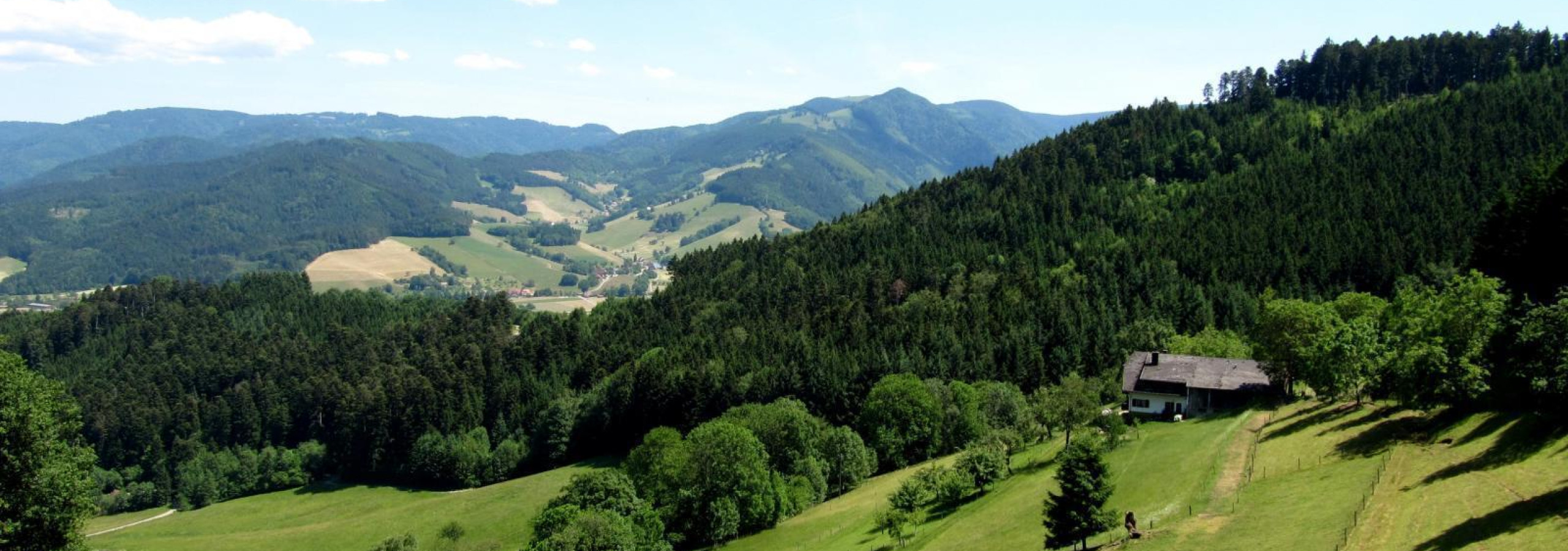 black forest 526212